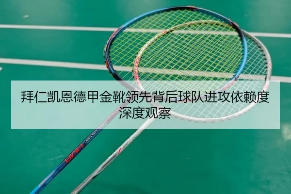 拜仁凯恩德甲金靴领先背后球队进攻依赖度深度观察