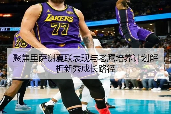聚焦里萨谢夏联表现与老鹰培养计划解析新秀成长路径